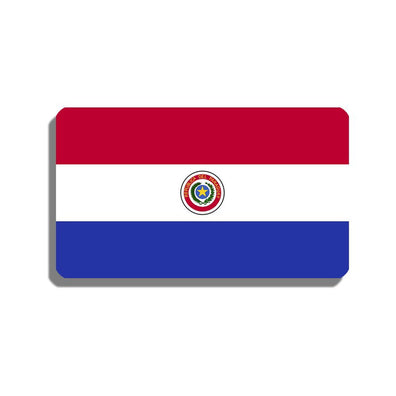 Spillone bandiera Paraguay